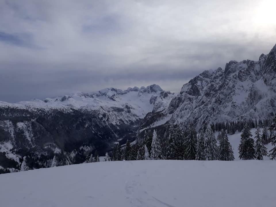 Dachstein View Ski Apartment Gosau Zewnętrze zdjęcie