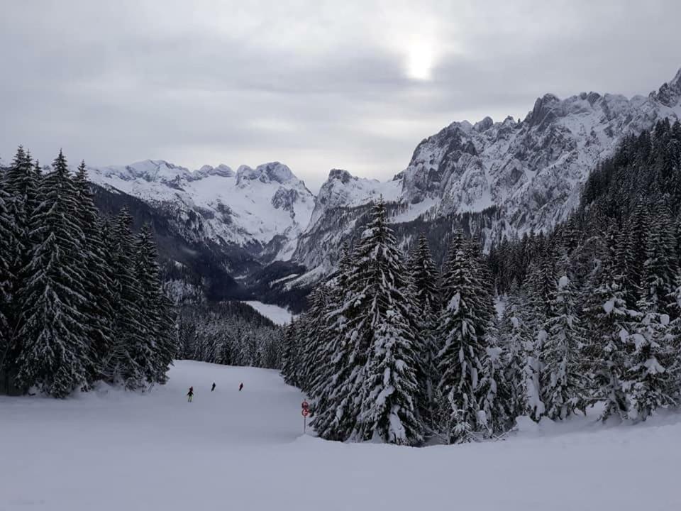 Dachstein View Ski Apartment Gosau Zewnętrze zdjęcie
