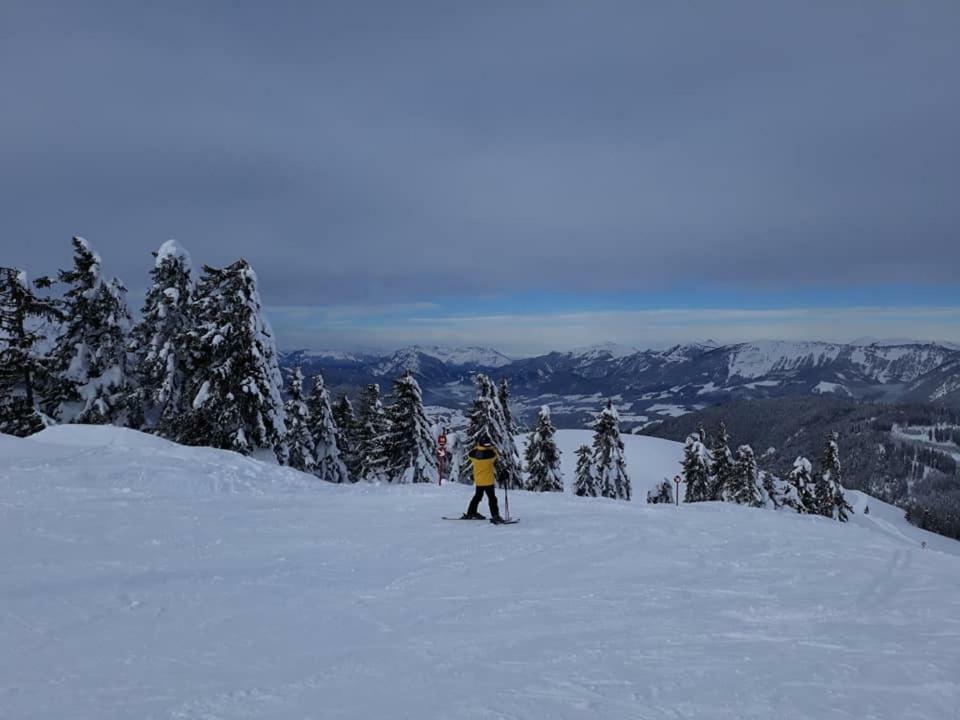 Dachstein View Ski Apartment Gosau Zewnętrze zdjęcie
